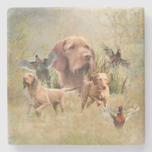 Porta-copo De Pedra O Wirehaired Vizsla húngaro