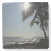 Oceano Árvore de Palma iluminado por Sol