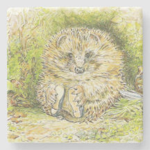 Old Mr Prickly Pin (Hedgehog) (por Beatrix Potter)