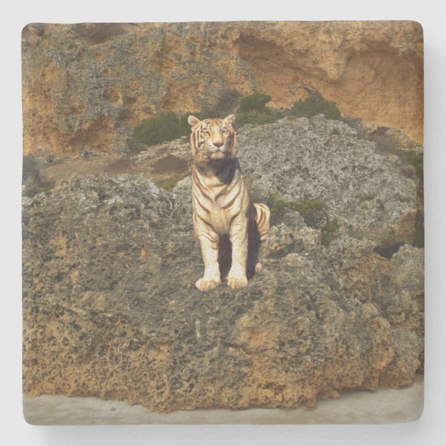 Porta-copo De Pedra Olhar para o Tigre Branco (Frente)