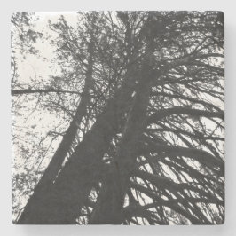 Porta-copo De Pedra Olhe para cima nas árvores