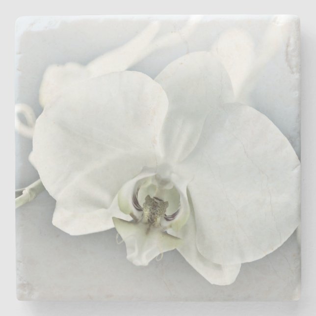 Porta-copo De Pedra Orquídea de Phaleonopsis Branca (Frente)