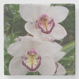 Porta-copo De Pedra Orquídeas Brancas Lindas Flores Tropicais
