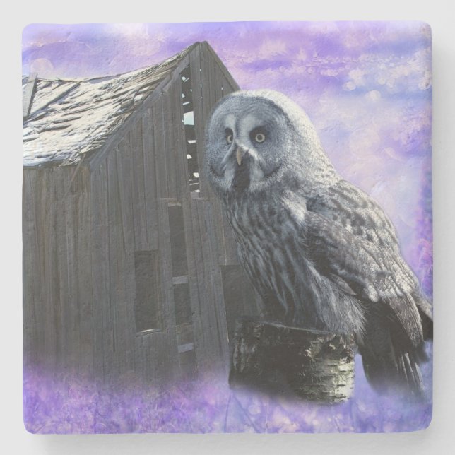 Porta-copo De Pedra Owl Barn Shed (Frente)