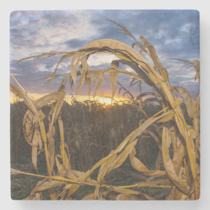 Porta-copo De Pedra Ozarks Harvest