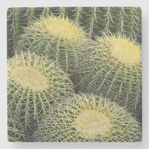 Porta-copo De Pedra Padrão de Cacto
