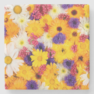 Porta-copo De Pedra Padrão de Primavera de Flores Coloridas Brilhantes