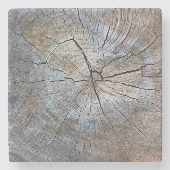 Porta-copo De Pedra Padrão do anel da árvore russa (Frente)