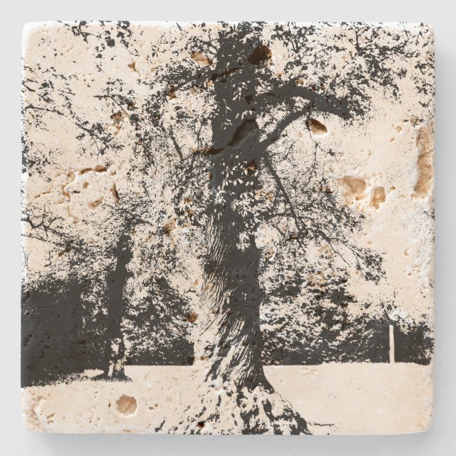 Porta-copo De Pedra Paisagem de Árvore Preta e Branca (Frente)