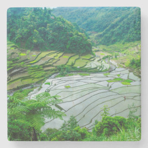 Porta-copo De Pedra Paisagem de terraço de arroz, Filipinas