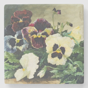 Porta-copo De Pedra Pansies do inverno, 1884