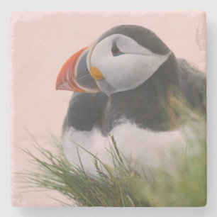 Porta-copo De Pedra Papagaio-do-mar (Fratercula arctica)