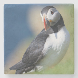 Porta-copo De Pedra Papagaio-do-mar (Fratercula Arctica) no Penhasco 2