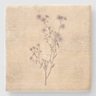 Porta-copo De Pedra Papel de Escrita Antiquado de Flor Selvagem Selvag
