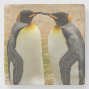 Porta-copo De Pedra Par de pinguins-imperadores, Ilhas Falkland