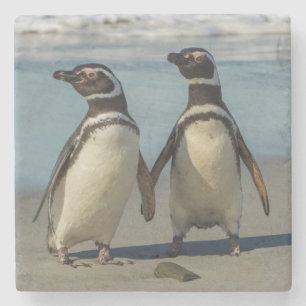 Porta-copo De Pedra Par de pinguins na praia