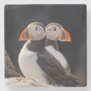 Porta-copo De Pedra Par de Puffins
