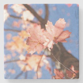 Porta-copo De Pedra para cima, para cima nas árvores