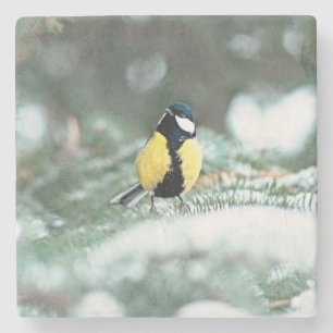 Porta-copo De Pedra Pássaro Chickadee Azul No Galho Verde De Árvore De