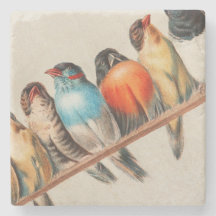 Pássaros Coloridos em uma Perch 2