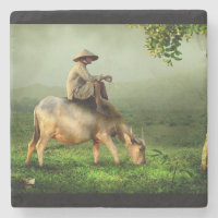 Pastagem de Vaca com Agricultor em Pasto Cênico