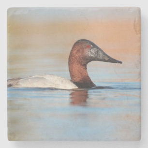 Porta-copo De Pedra Pato de canvasback masculino