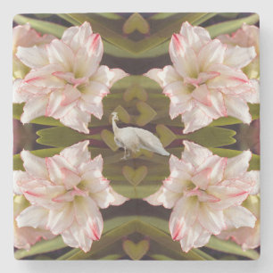 Porta-copo De Pedra Peacock Majestoso e Amaryllis Candy Cane
