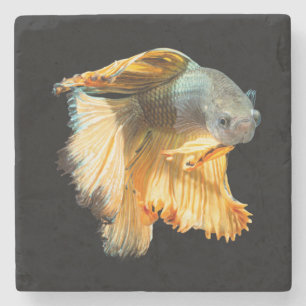 Porta-copo De Pedra Peixe-Lua Betta