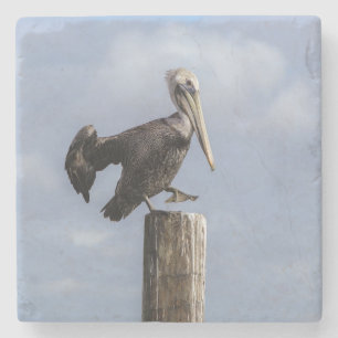 Porta-copo De Pedra Pelican