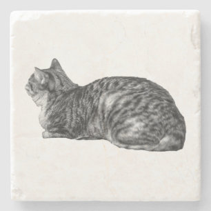 Porta-copo De Pedra Pequena Pausa, Tabby Poise