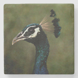 Porta-copo De Pedra Perfil de Peacock