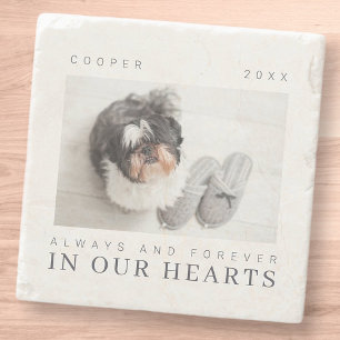 Porta-copo De Pedra Pet Memorial Cote Foto Simples Moderna Chic