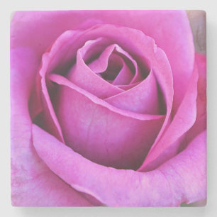 Porta-copo De Pedra Pétalas de Rosa Rosa Arte Floral Pires