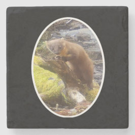 Porta-copo De Pedra Pine Marten no Log Marble Stone Porta copos