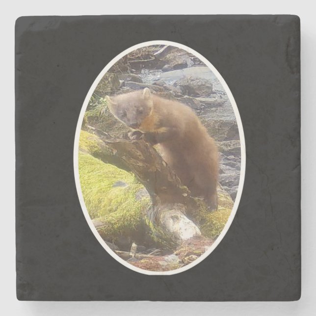 Porta-copo De Pedra Pine Marten no Log Marble Stone Porta copos (Frente)