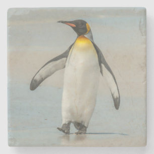Porta-copo De Pedra Pinguim andando na praia