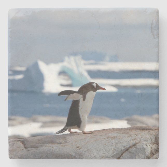 Porta-copo De Pedra Pinguim em frente a um arco de gelo (Frente)