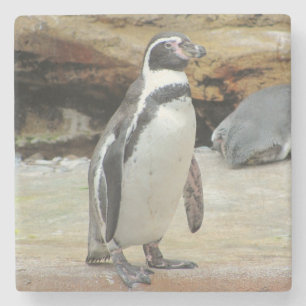 Porta-copo De Pedra Pinguim que está apenas