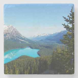 Porta-copo De Pedra Pinheiros Cênico de Azul-Montanha