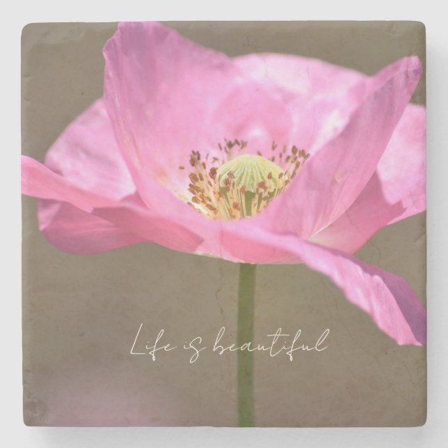 Porta-copo De Pedra Pink Iceland Poppy Flower (photography by me) (Frente)