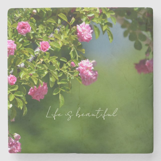 Porta-copo De Pedra Pink Roses Floral (photography by me) (Frente)