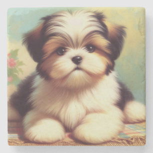 Porta-copo De Pedra Pintor Cute Shih-Tzu