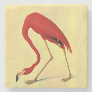 Porta-copo De Pedra Pintura em Flamingo Americano Audubon