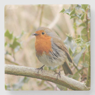 Porta-copo De Pedra Pisco de peito vermelho impressionante