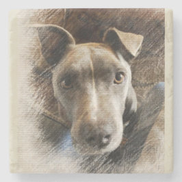 Porta-copo De Pedra Pitbull