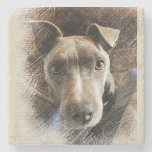 Porta-copo De Pedra Pitbull (Frente)