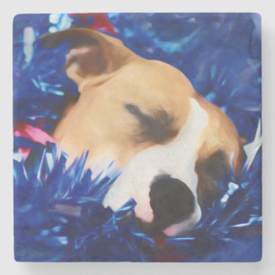 Porta-copo De Pedra Pitbull americano Terrier do cão patriótico dos