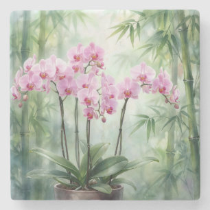 Porta-copo De Pedra Planta de Orquídea Rosa em Fundo de Bambu