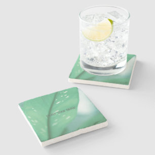 Porta-copo De Pedra Planta Verde Pálida deixa a natureza se sentindo 