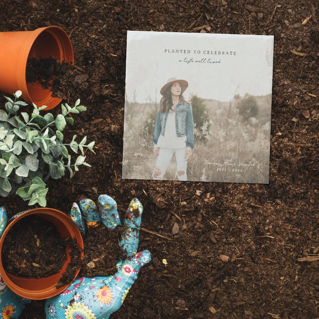 Porta-copo De Pedra Plantado para Celebrar | Pedra do Jardim Memorial (Criador carregado)